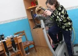 В 2015 году в Югорске оказана поддержка 27 субъектам, занятых в сфере социального предпринимательства