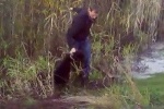 Полиция ХМАО ведет проверку видео в Интернете, на котором пьяный мужчина у машины с номером Украины трубой пытается убить медвежонка. ФОТО. ВИДЕО