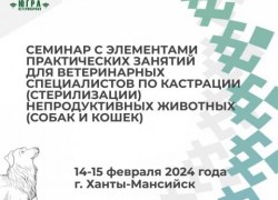 В Югре обсудили значимость стерилизации и кастрации кошек и собак