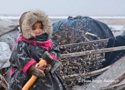 Югорские депутаты дали право детям носить оружие Югорские депутаты дали право детям носить оружие