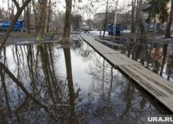 ОНФ подарит мэру самого затопленного города в ХМАО желтое ведро