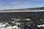 В Югре и Тюменской области зафиксированы первые ландшафтные пожары