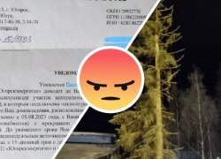 СЕТЕВОЙ ДОЗОР. «Да вы там охренели что ли?». В Югорске хотят оставить людей без тепла, а в гарнизон привезли лысую ель