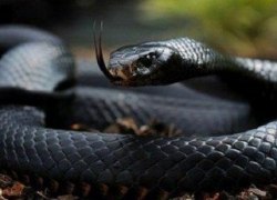 Югра перестает быть кормилицей России. Нефтяная отрасль близка к кризису