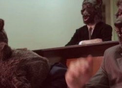 Политическая война в разгаре! К винтовочным выстрелам Сердюка по Комаровой добавилась артиллерийская канонада Миронова