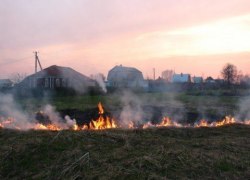 В дни первомайских праздников на территории округа произошло 4 лесных пожара