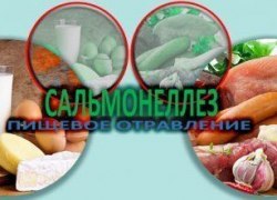Постановление Главного государственного санитарного врача по г.Югорску и Советскому району "О мероприятиях по стабилизации заболеваемости сальмонеллезами в г.Югорске и Советском районе "