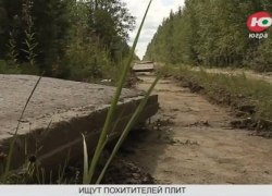 СМИ. В Советском районе ищут похитителей дороги. ВИДЕО