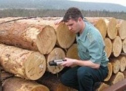 Предпринимателя из ХМАО осудили за уклонение от уплаты таможенных платежей