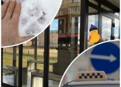 СЕТЕВОЙ ДОЗОР. Удивили! Остановка по цене квартиры, волки взялись за старое, а такси может исчезнуть (и не только ночью)