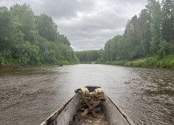 Совместное обследование удалённых охотничьих угодий в рамках операции «Овод»