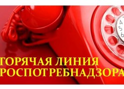 Стартует горячая линия  по ВОПРОСАМ ПРОФИЛАКТИКИ ЭНТЕРОВИРУСНОЙ (НЕПОЛИО) ИНФЕКЦИИ